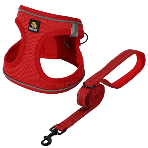 犬 ハーネス 超小型犬 XS」の人気商品一覧 | 安い商品を通販サイトから